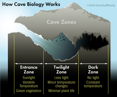 Cave Zones.